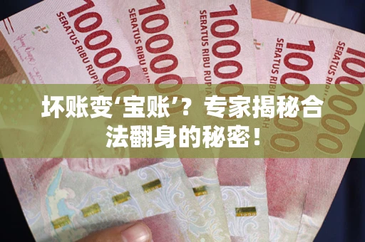 武汉坏账变‘宝账’？专家揭秘合法翻身的秘密！
