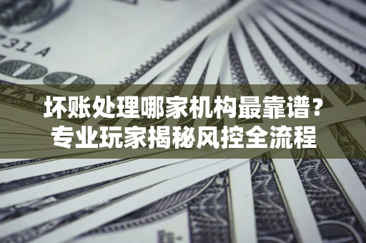 武汉坏账处理哪家机构最靠谱？专业玩家揭秘风控全流程