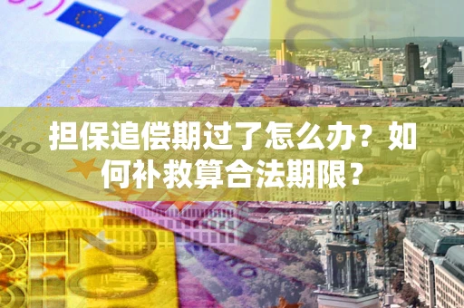 武汉担保追偿期过了怎么办？如何补救算合法期限？