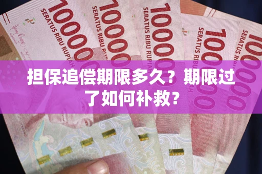 武汉担保追偿期限多久？期限过了如何补救？