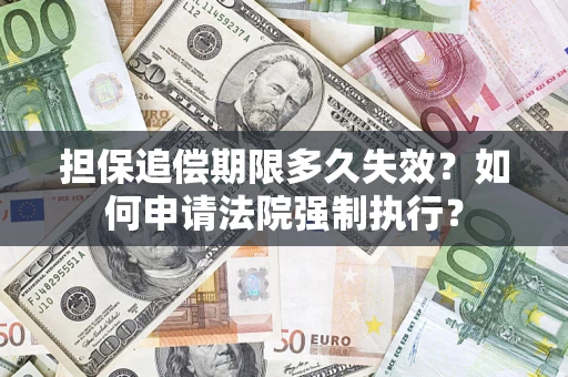 武汉担保追偿期限多久失效？如何申请法院强制执行？