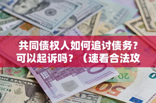 武汉共同债权人如何追讨债务？可以起诉吗？（速看合法攻略）