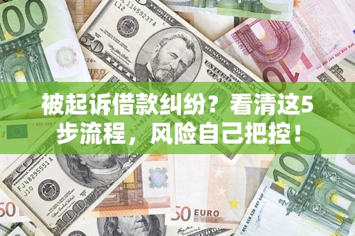武汉被起诉借款纠纷？看清这5步流程，风险自己把控！