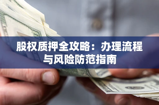 武汉股权质押全攻略：办理流程与风险防范指南